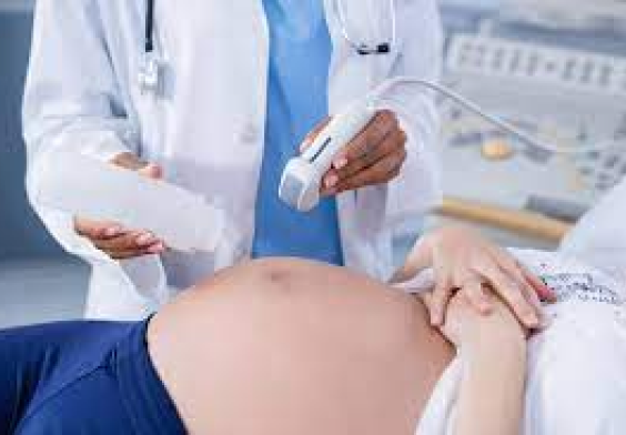 Unidad de Medicina Materno Fetal
