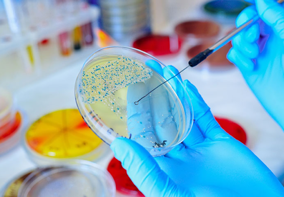 Microbiología