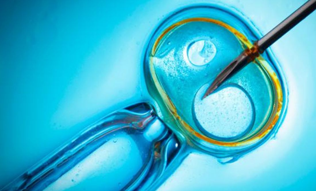 Inseminación Artificial