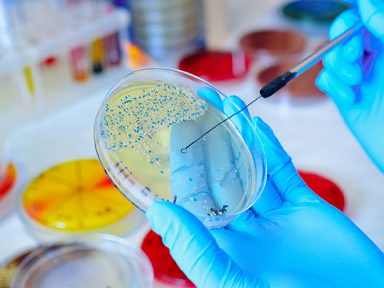Microbiología